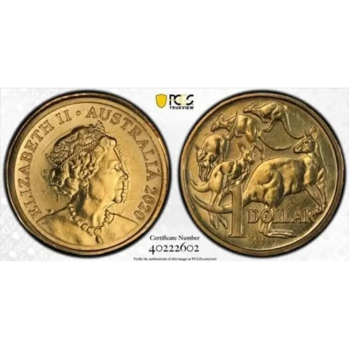 2020 $1 Double Mint Error Coin Graded PCGS MS63 Mule + Clashed Die