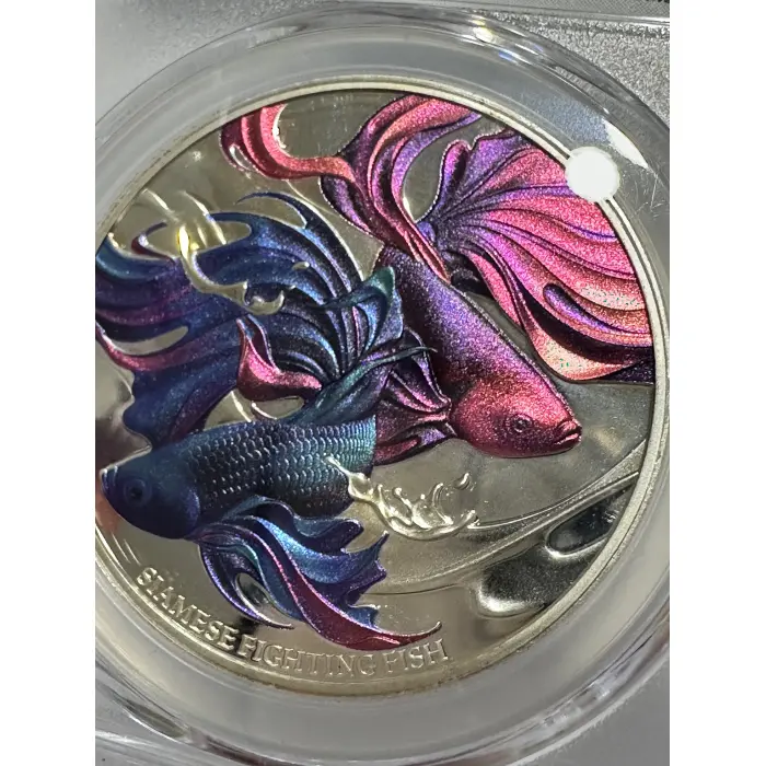 Siamese Fighting Fish Graded Coin