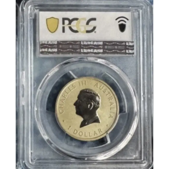 2025-P $1 One Dollar Ngana Nyitting Blue River PCGS Graded MS69 Coloured Coin