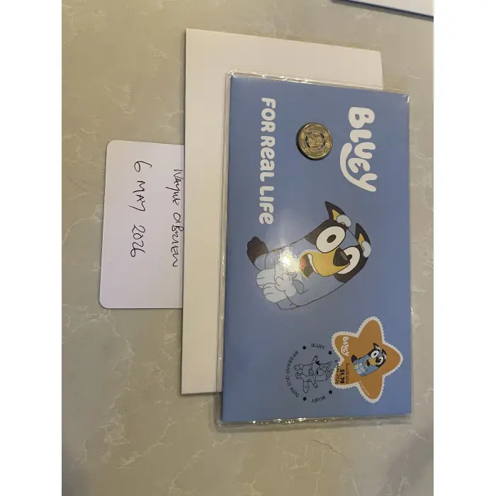 2026 bluey pnc set 