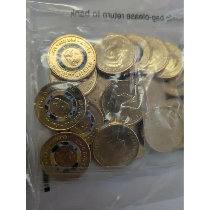 2026 $2 Bluey & Bingo Coins