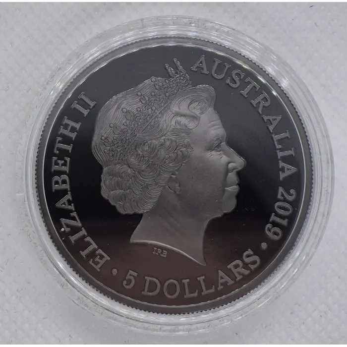 2019 Echoes of Australia  Night Parrot