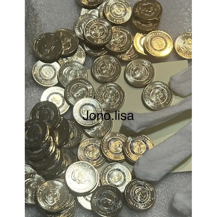 Pair of unc 2026 Bluey and Bingo colour $2 coins from bag