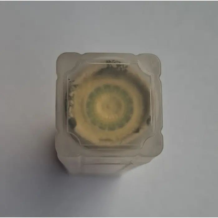 2019 $2 Lest We Forget Mosaic T/T Coloured Mint Roll (25 Coins)